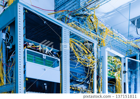 servers with connected fiber optic cables servers with connected fiber optic cables 137151811