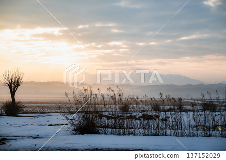 A fantastic snowy landscape shrouded in morning mist: Golden winter sunrise and mountain ridges A fantastic snowy landscape shrouded in morning mist: Golden winter sunrise and mountain ridges 137152029