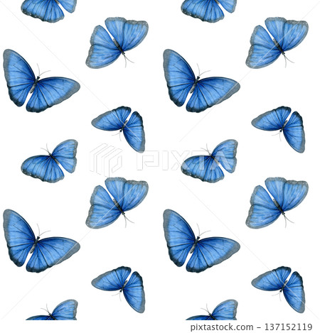 Morpho butterflies. Seamless pattern of blue butterflies. Perfect for fabric, wallpaper, wrapping paper, stationery and spring designs Morpho butterflies. Seamless pattern of blue butterflies. Perfect for fabric, wallpaper, wrapping paper, stationery and spring designs 137152119
