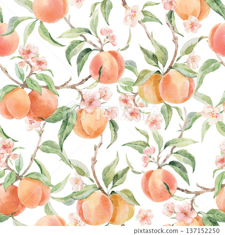 Seamless Watercolor Peach Pattern with Blossom Flowers and Green Leaves, botanical fruit design on light background for textile, wallpaper and summer fabric print Seamless Watercolor Peach Pattern with Blossom Flowers and Green Leaves, botanical fruit design on light background for textile, wallpaper and summer fabric print 137152250