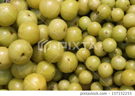 amla gooseberry stock on shop amla gooseberry stock on shop 137152255