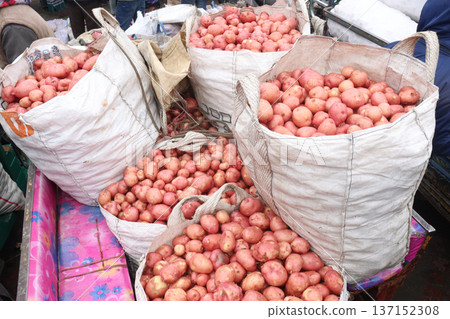 Potato on shop for sell are cash crops Potato on shop for sell are cash crops 137152308