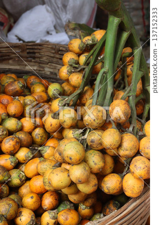 ripe betel nut stock on shop 137152333