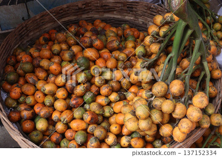 ripe betel nut stock on shop 137152334