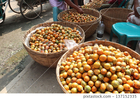 ripe betel nut stock on shop 137152335