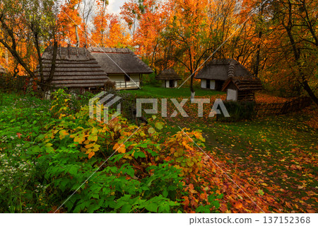 Traditional Ukrainian village houses with thatched roofs surrounded by vibrant autumn foliage 137152368