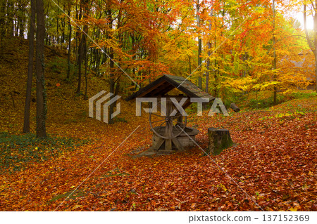 Rustic wooden well in a forest covered with vibrant autumn leaves Rustic wooden well in a forest covered with vibrant autumn leaves 137152369