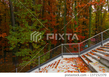 Concrete staircase covered in fallen autumn leaves with vibrant trees in the background Concrete staircase covered in fallen autumn leaves with vibrant trees in the background 137152370