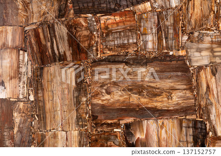 Petrified wood matt texture. Semi precious pattern. Exclusive luxury gemstone background. Material for unique interior, exterior design decoration. Brown luxury matt mineral texture. Petrified wood matt texture. Semi precious pattern. Exclusive luxury gemstone background. Material for unique interior, exterior design decoration. Brown luxury matt mineral texture. 137152757