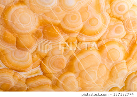 Elegant brown onice background for your awesome design view. Elegant brown onice background for your awesome design view. 137152774