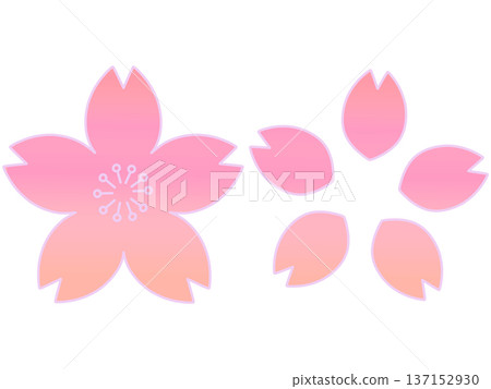 手繪櫻花花瓣插圖集 - 淺色漸變 手繪櫻花花瓣插圖集 - 淺色漸變 137152930