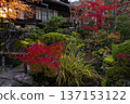A garden filled with autumn colors 137153122
