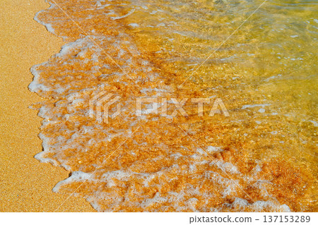 Yellow sand with waves on the sea. Background: cover, screensaver. Yellow sand with waves on the sea. Background: cover, screensaver. 137153289
