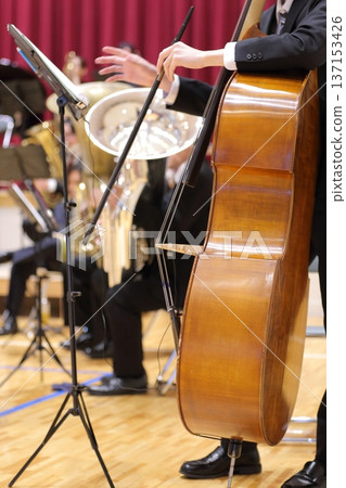 Contrabass performance scene Contrabass performance scene 137153426