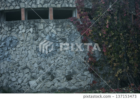 An old stone wall with narrow rectangular windows partially covered by climbing ivy with autumn-colored leaves, creating a moody and textured architectural scene. An old stone wall with narrow rectangular windows partially covered by climbing ivy with autumn-colored leaves, creating a moody and textured architectural scene. 137153473