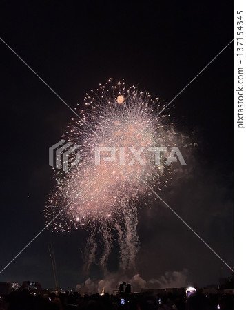 Fireworks at the 50th Edogawa Fireworks Festival 137154345
