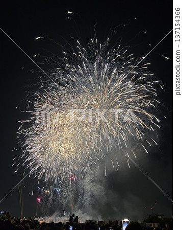 Fireworks at the 50th Edogawa Fireworks Festival 137154366