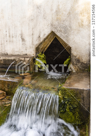 different water flows in a natural spring source different water flows in a natural spring source 137154566