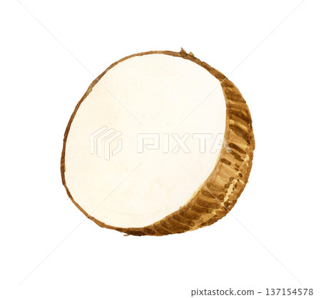 Taro cut in half - Hand-drawn watercolor illustration of vegetables Taro cut in half - Hand-drawn watercolor illustration of vegetables 137154578