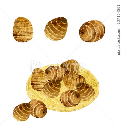 Set of taro on a bamboo basket. Hand-drawn watercolor illustration of vegetables. Set of taro on a bamboo basket. Hand-drawn watercolor illustration of vegetables. 137154591