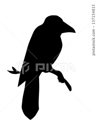 Vector drawing. Bird on white sky backdrop. Vector drawing. Bird on white sky backdrop. 137154815