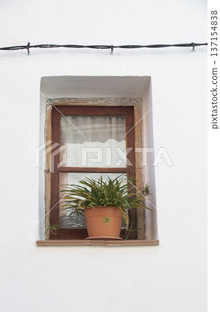 village house window with flower pots 137154838