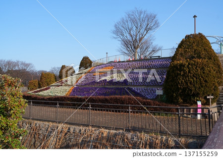Mount Fuji with a floral pattern Mount Fuji with a floral pattern 137155259