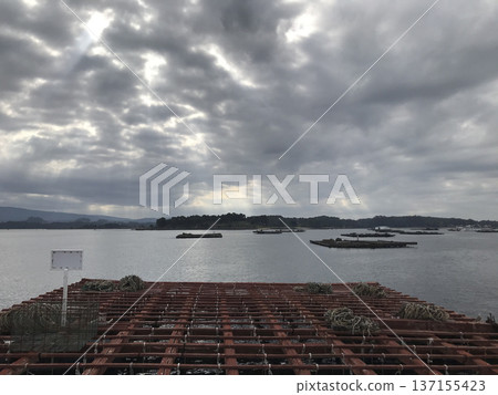 platform for the cultivation of mussels platform for the cultivation of mussels 137155423