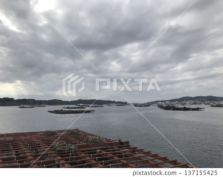 platform for the cultivation of mussels platform for the cultivation of mussels 137155425