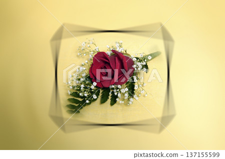 red rose ready to put on the groom's lapel red rose ready to put on the groom's lapel 137155599