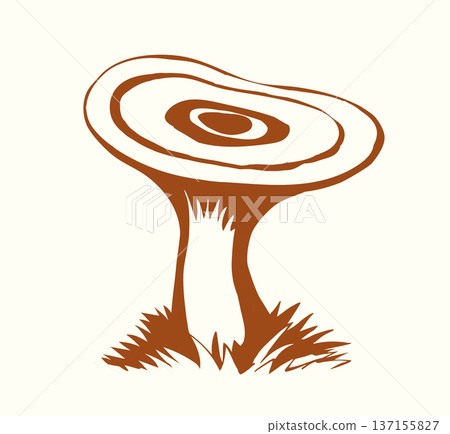 Vector drawing. Saffron milk cap mushroom 137155827