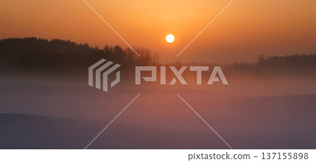 Cold winter in Europe .Misty sunny Lithuania landscape . Misty fog 137155898