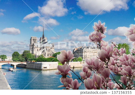 Notre Dame cathedral, Paris France 137156355