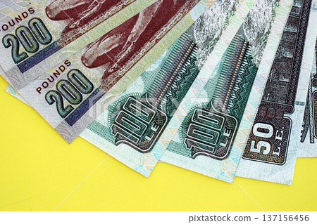 Egyptian pound money bills in big amount on yellow close up. Finance and banking concept Egyptian pound money bills in big amount on yellow close up. Finance and banking concept 137156456