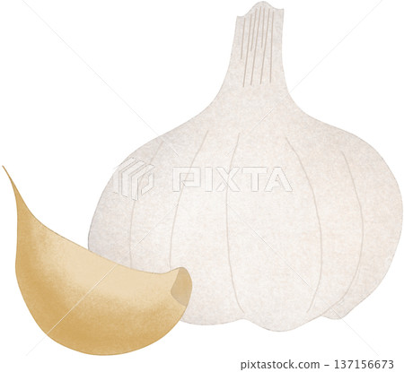 fresh garlic fresh garlic 137156673