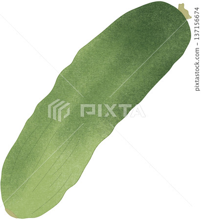 green cucumber 137156674