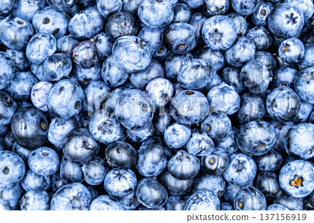 delicious summer blueberries on grocery market counter 137156919