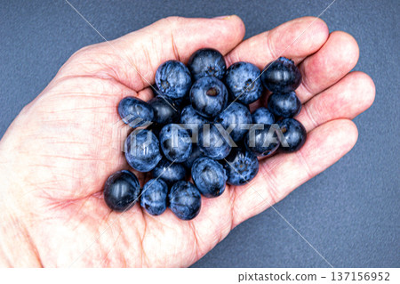 delicious summer blueberries on grocery market counter delicious summer blueberries on grocery market counter 137156952