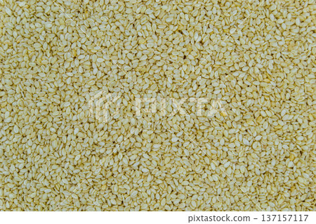 beautiful texture ripe of natural sesame seeds on background beautiful texture ripe of natural sesame seeds on background 137157117
