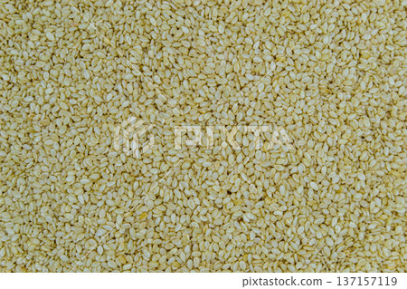 beautiful texture ripe of natural sesame seeds on background beautiful texture ripe of natural sesame seeds on background 137157119