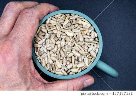 beautiful texture ripe of natural sunflower seeds on background beautiful texture ripe of natural sunflower seeds on background 137157181