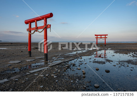 Daioi Shrine的水下牌坊 137157836