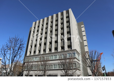 中野市容 137157853