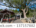 多島神社的寺廟建築群 137157882