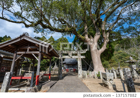 Tajima Shrine's temple complex 137157882