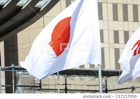 [Japanese flag] The flag fluttering in the spring cityscape 137157950