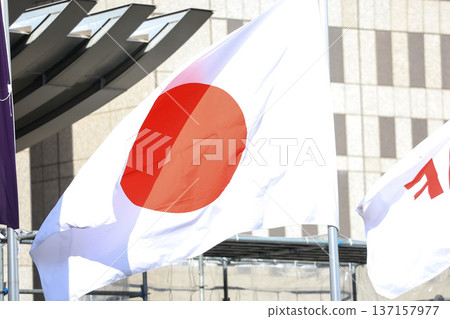 [Japanese flag] The flag fluttering in the spring cityscape 137157977