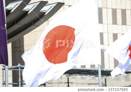 [Japanese flag] The flag fluttering in the spring cityscape 137157985