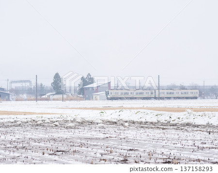 [Yamagata Line] Swans in the snowy fields and a local train 137158293
