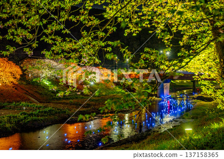 (靜岡縣南飯津町)南櫻花油菜花節燈光秀“夜櫻☆流星” (靜岡縣南飯津町)南櫻花油菜花節燈光秀“夜櫻☆流星” 137158365
